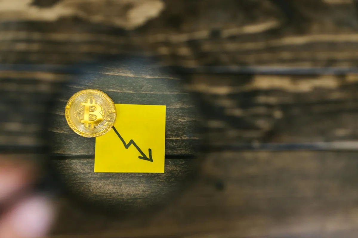 Šta je Bear Market?