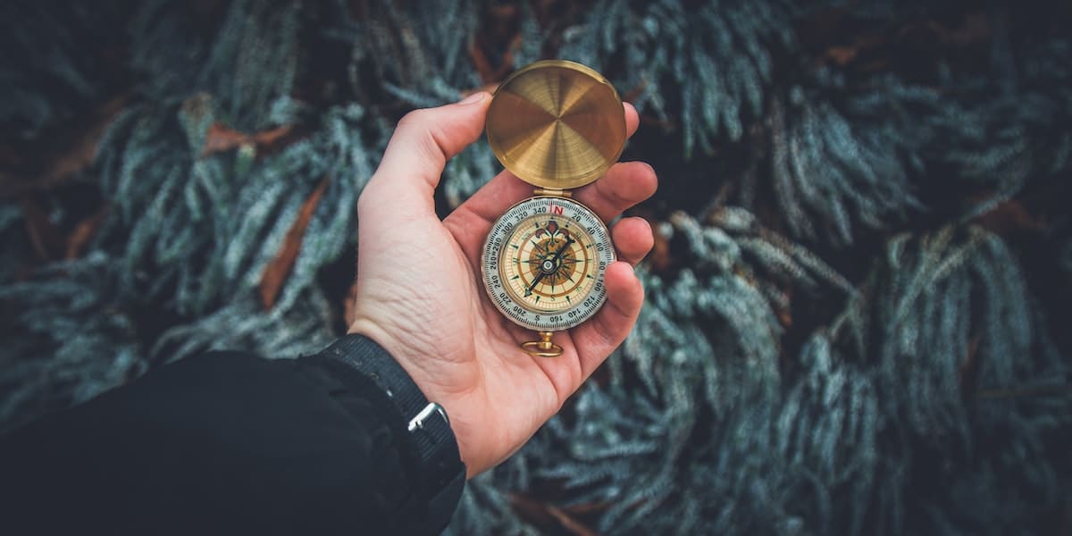 Trgovanje na berzi u 2024. Nikola Janjic #120